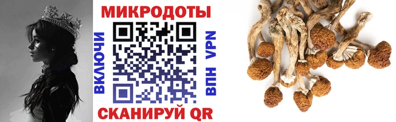 Псилоцибиновые грибы Psilocybe  Семёнов 